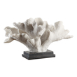 large bronze buddha Uttermost Coral Statue Textured White Finish With Matte Black Base.