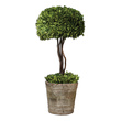 fake fall flowers Uttermost Trees-Greenery Preserved While Freshly Picked, Natural Evergreen Foliage Looks And Feels Like Living Boxwood. Single Topiary Is Potted In Mossy Stone Finished, Terra Cotta Planter. Indoor Use Only. Constance Lael-Linyard