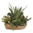 decorative garden flowers Uttermost Botanicals Dense And Lush Mix Of Succulent Plants Including Aloe, Jade, Bromeliad, String Of Pearls, And Others In A Hand Carved, Natural Teak Bowl.