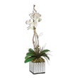 faux topiary ball outdoor Uttermost Botanicals Gracefully Arching Stems Of White Orchids Atop A Bed Of Moss, Nestled In A Glass Mirrored Cube Container.