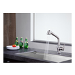 professional kitchen sink faucet Anzzi KITCHEN - Kitchen Faucets - Pull Out Nickel