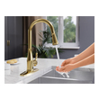 24 sink kitchen Anzzi KITCHEN - Kitchen Faucets - Pull Down Gold
