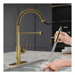 polished nickel single hole faucet Anzzi KITCHEN - Kitchen Faucets - Pull Down Gold