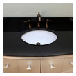 70 inch vanity top double sink Bellaterra Black Galaxy Granite