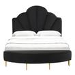 king queen and double bed sizes Contemporary Design Furniture Beds Black