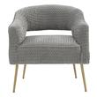 accent lounge Contemporary Design Furniture Accent Chairs Grey