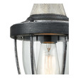 glass drum pendant light ELK Lighting Mini Pendant Silvered Graphite Transitional