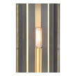 black sconce modern ELK Lighting Sconce Charcoal, Brushed Brass Transitional