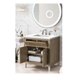 bathroom vanity top storage ideas James Martin Vanity Whitewashed Walnut Contemporary/Modern, Transitional
