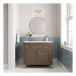 modern bathroom cabinet ideas James Martin Vanity Whitewashed Walnut Contemporary/Modern, Transitional