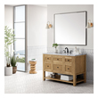 60 inch bathroom cabinet single sink James Martin Vanity Light Natural Oak Modern Farmhouse, Transitional