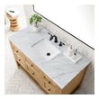 60 inch bathroom cabinet single sink James Martin Vanity Light Natural Oak Modern Farmhouse, Transitional