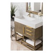 bathroom countertops James Martin Vanity Latte Oak Modern