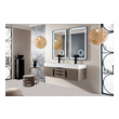 vanity cabinets with tops James Martin Vanity Ash Gray Modern