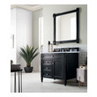 bathroom sink cabinet 30 inch James Martin Vanity Black Onyx Transitional