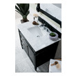 bathroom sink cabinet 30 inch James Martin Vanity Black Onyx Transitional