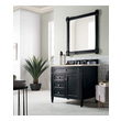 oak bathroom cabinets James Martin Vanity Black Onyx Transitional