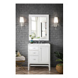 used bathroom cabinets   James Martin Vanity Glossy White Traditional, Transitional