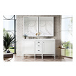 60 inch double vanity with top James Martin Vanity Glossy White Traditional, Transitional