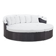 buy garden furniture Modway Furniture Daybeds and Lounges Espresso White