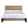 box queen bed frame Modway Furniture Beds Beds Latte
