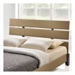 box queen bed frame Modway Furniture Beds Beds Latte
