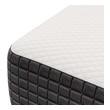 mattress foam mattress Modway Furniture Twin White