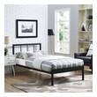 single double queen king bed sizes Modway Furniture Beds Brown