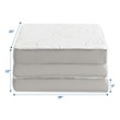 sponge mattress twin size Modway Furniture Twin