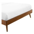 tufted queen bed Modway Furniture Beds Walnut