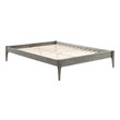 queen mattress on king bed frame Modway Furniture Beds Gray