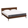 twin xl mattress 8 inch Modway Furniture King Mattresses