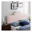 bed shop headboards Modway Furniture Headboards Pink