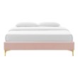 grey wood queen bed frame Modway Furniture Beds Pink