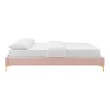 twin xl beds for sale Modway Furniture Beds Pink