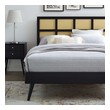 connected twin beds Modway Furniture Beds Black