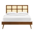 double cot for twins Modway Furniture Beds Walnut