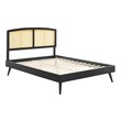 twin box spring price Modway Furniture Beds Black