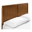 twin mattress and frame set Modway Furniture Beds Walnut