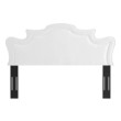 white bed frame without headboard Modway Furniture Headboards White