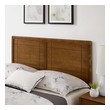 queen bed frame deals Modway Furniture Beds Walnut