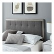 twin box spring Modway Furniture Beds Gray Charcoal