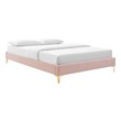 bed with tufted headboard Modway Furniture Beds Pink