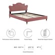 black wood platform bed queen Modway Furniture Beds Dusty Rose