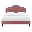 clear bed frame Modway Furniture Beds Dusty Rose