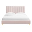 twin velvet bed frame Modway Furniture Beds Pink