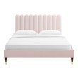 upholstered bedframes Modway Furniture Beds Pink