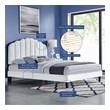 twin xl bed frame and headboard Modway Furniture Beds White