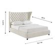 metal king bed frame platform Tov Furniture Beds Cream