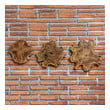 photos on wall decoration Uttermost Teak Wall Art Deeply Grained Cross Sections Of Natural Teak Wood With A Light Honey Glazing.  Panels May Be Hung Or Used As Tabletop Accessories.